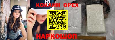 гидропоника Тара
