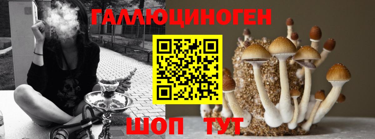Луга  Псилоцибиновые грибы мицелий  Псилоцибиновые грибы мухоморы  Вход с VPN 